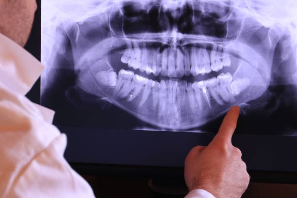 Best Holiday Emergency Dentist in Freeland, MI