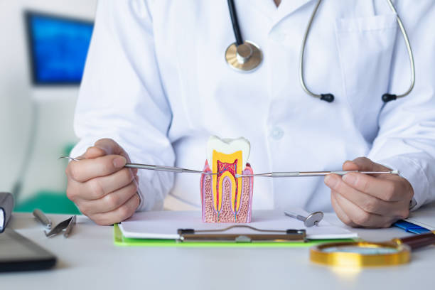 Best Emergency Root Canal Treatment in Freeland, MI